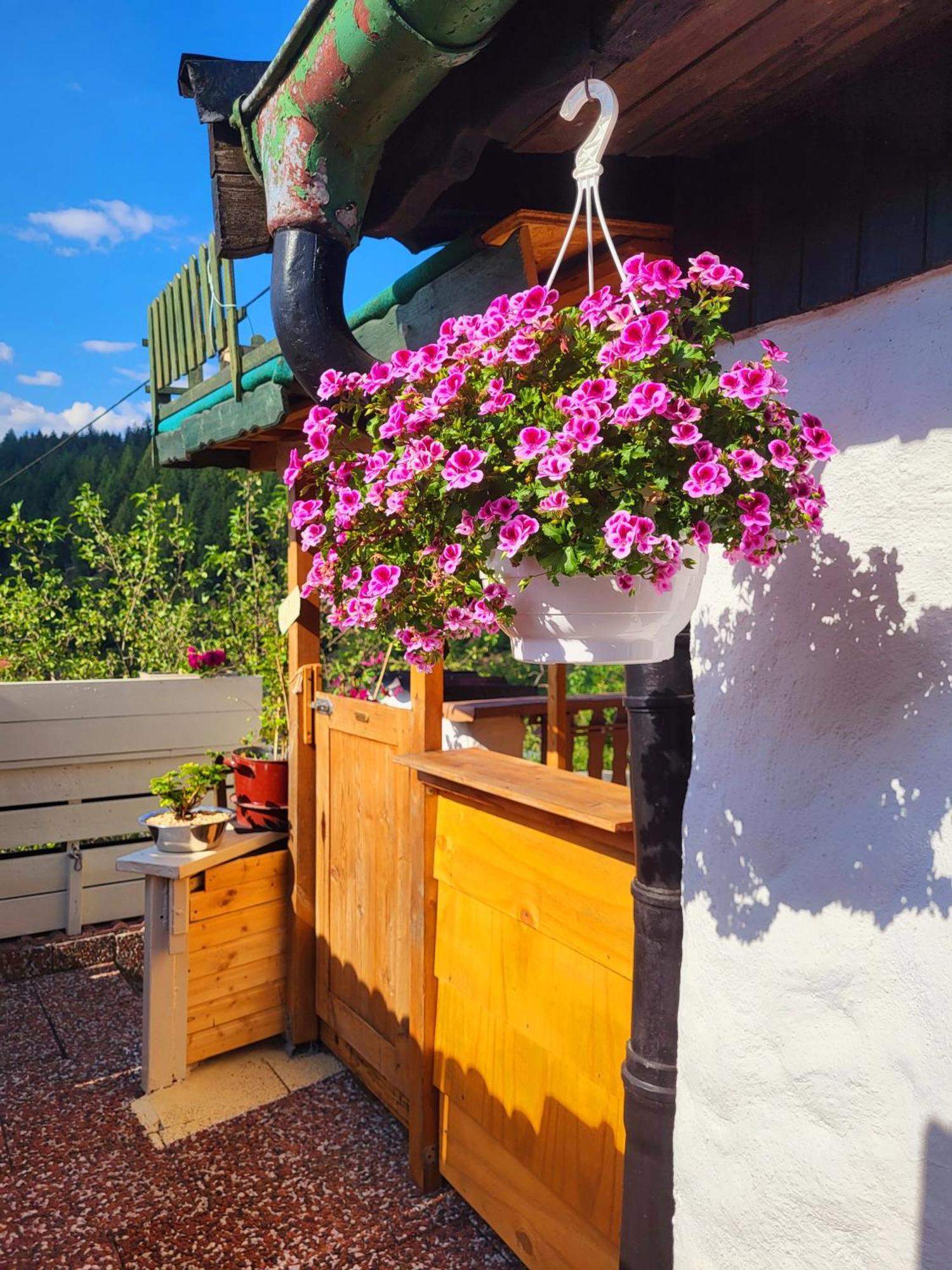 Ferienwohnung Schwarzwaldglueck Baiersbronn Exterior foto