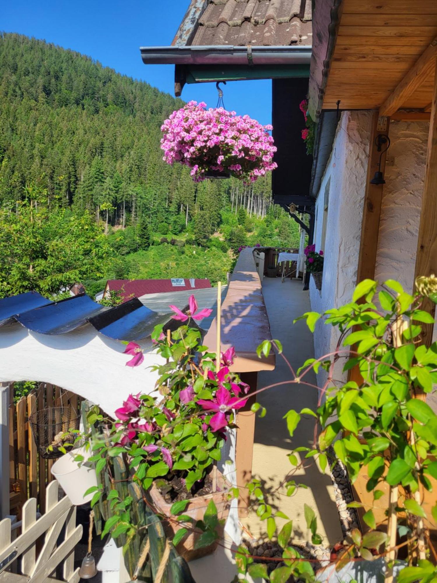 Ferienwohnung Schwarzwaldglueck Baiersbronn Exterior foto